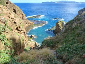 Cliff path Phillip Island