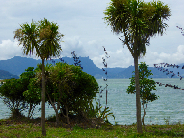 The View from Limestone Island to Mt Manaia